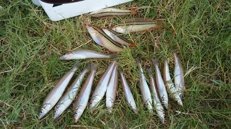 都志・明神でキス狙い