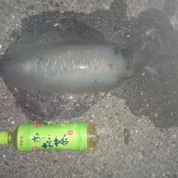 暑いのに、行ってきました。