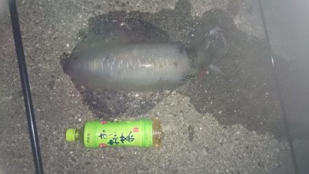 暑いのに、行ってきました。