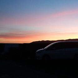 西淡、北淡、東浦のキス釣査