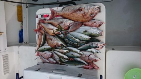 鳴門タイジギング&タイラバ