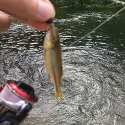 今日も行っちゃった