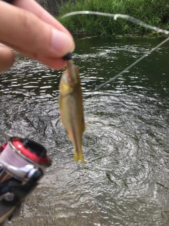 今日も行っちゃった