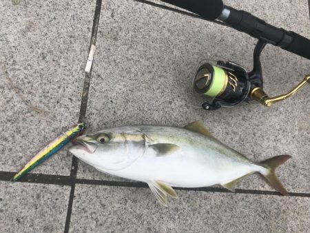ショアジギング第2弾