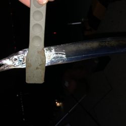 タチウオ小さい！