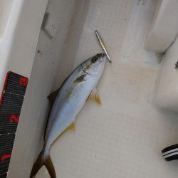 久々に実家で釣り2