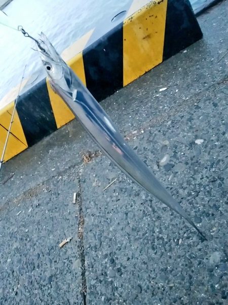 新子がきた～～！