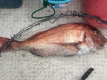 暑い中　ジギング　タイラバ