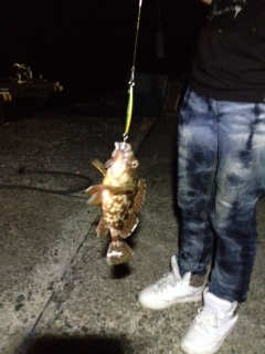 ジギングでヒット