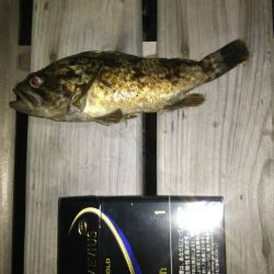 涼しくなったら