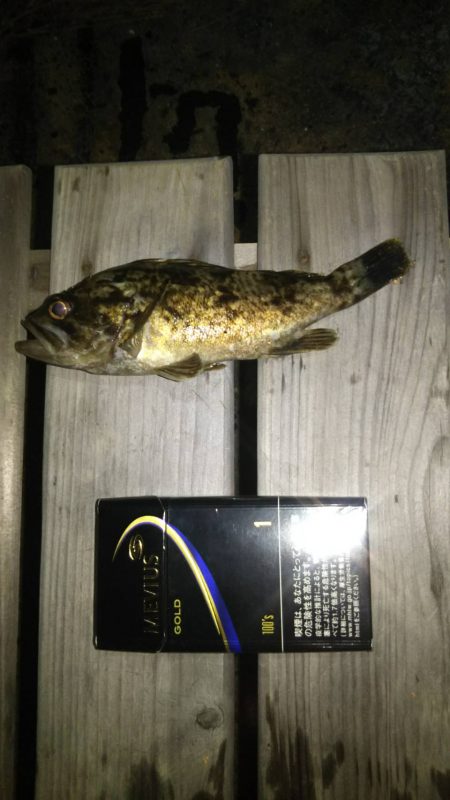 涼しくなったら