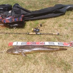 マゴチハンティング