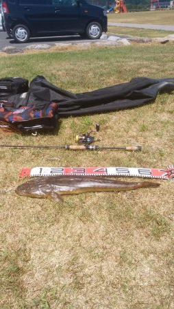 マゴチハンティング