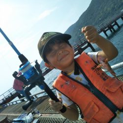 須磨海釣り公園、潮が速くて苦戦