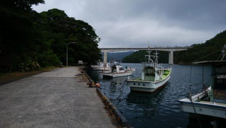 トップウォーター！