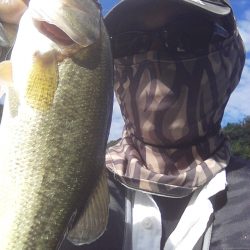 ディープからドン!