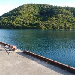 トップウォーター