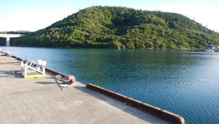 トップウォーター