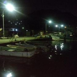 サビキVSアジング