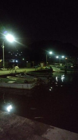 サビキVSアジング