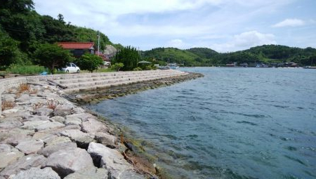 トップとボトム