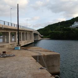 隠岐の島ラストフィッシュ！