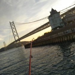 アジュール舞子でサビキ&ケンサキ