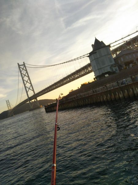 アジュール舞子でサビキ&ケンサキ