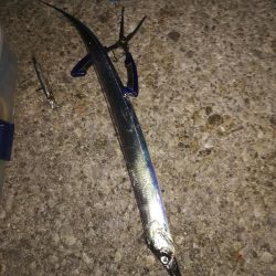 ベルトというよりは定規