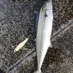 久々にお気に入りの場所で…