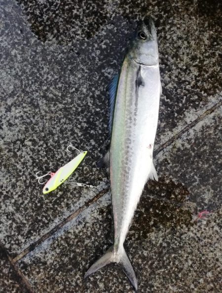 久々にお気に入りの場所で…