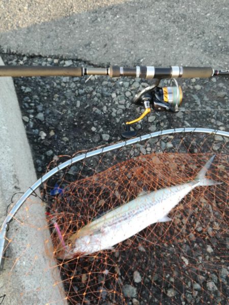 風のなかのショアジギング