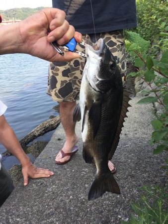 久々のチヌにたにもっさん。歓喜する