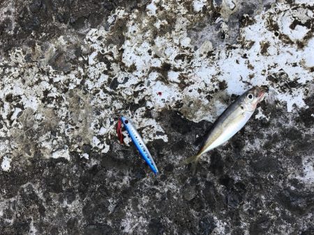 初めての釣り公園