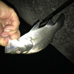 暑い夜には青流し！