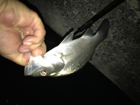 暑い夜には青流し！