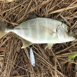 朝練メッキ&おまけ