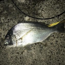 青流して自己記録更新！