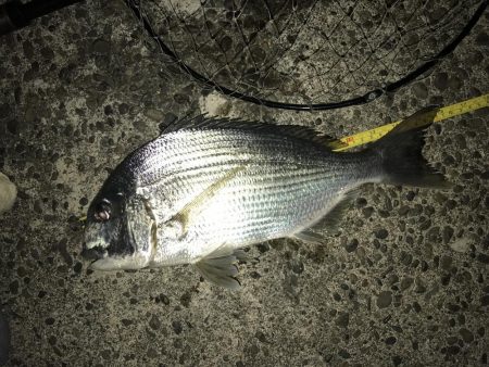 青流して自己記録更新！