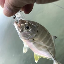 ランガンポッパー