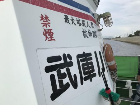 武庫川一文字にタチウオがやってきた！