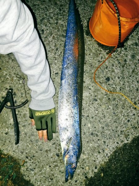 今年最後のドラゴン！？