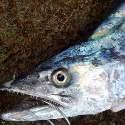 ひったくられた