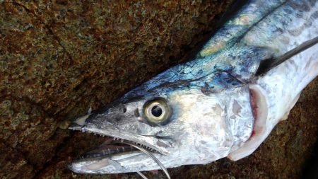 ひったくられた