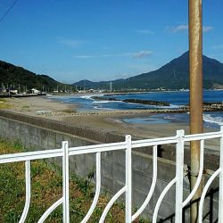 投げ釣りシロギス