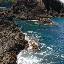 グルーパーゲーム