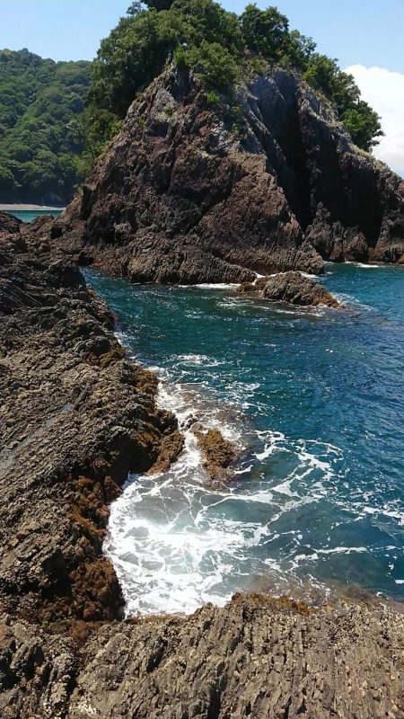 グルーパーゲーム