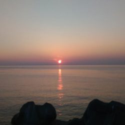 ツバス狙いで…