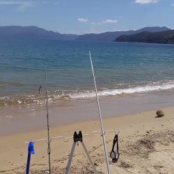 シロギス投げ釣り