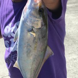 初マイクロワインドで初の青物！！